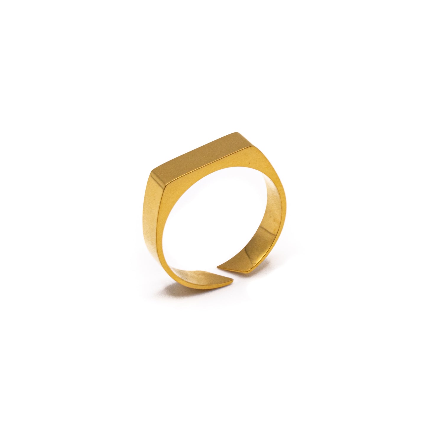 Signet Ring (Gold)
