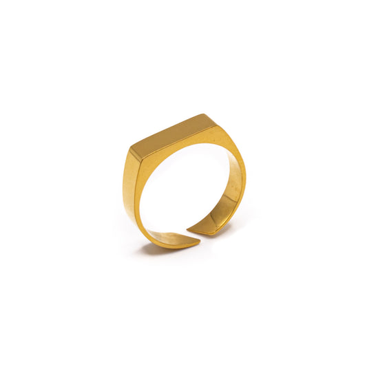 Signet Ring (Gold)